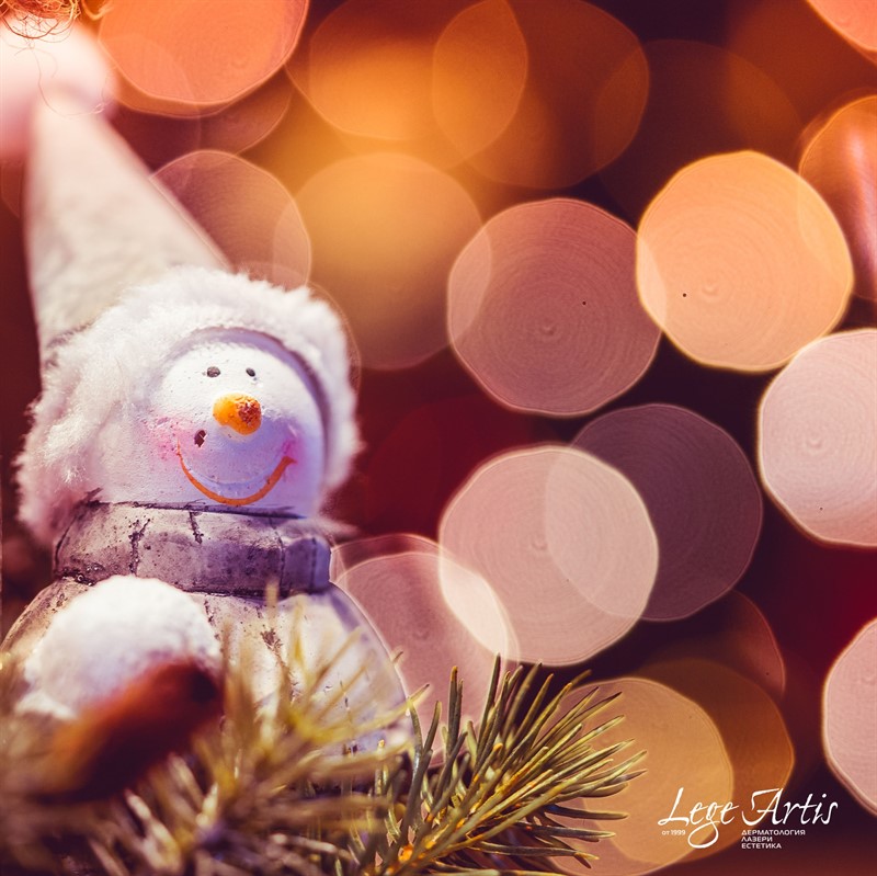 Весели Коледни и Новогодишни празници!